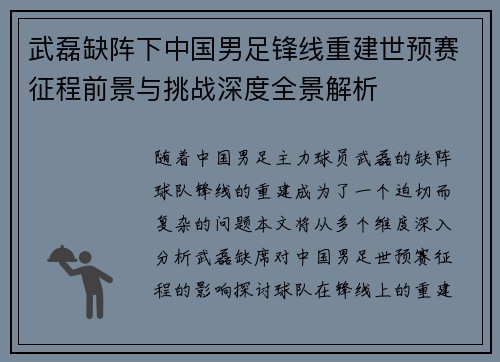 武磊缺阵下中国男足锋线重建世预赛征程前景与挑战深度全景解析
